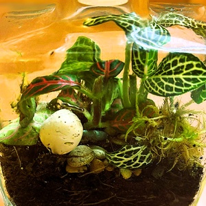 Parfümös üvegben - 2 dl-es önfenntartó florárium - otthon & életmód - dekoráció - asztal és polc dekoráció - florárium, terrárium - Meska.hu