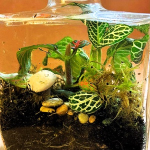 Parfümös üvegben - 2 dl-es önfenntartó florárium - otthon & életmód - dekoráció - asztal és polc dekoráció - florárium, terrárium - Meska.hu