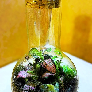 Lombikba zárva - 2 dl-es önfenntartó florárium - Meska.hu