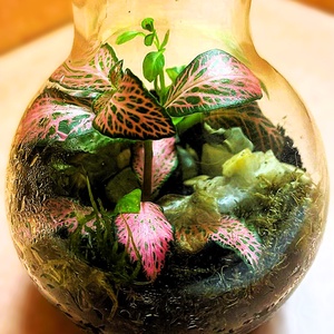 Lombikba zárva - 2 dl-es önfenntartó florárium - otthon & életmód - dekoráció - asztal és polc dekoráció - florárium, terrárium - Meska.hu