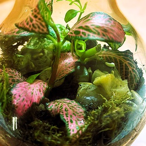 Lombikba zárva - 2 dl-es önfenntartó florárium - otthon & életmód - dekoráció - asztal és polc dekoráció - florárium, terrárium - Meska.hu