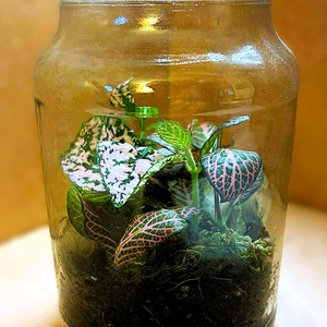 Üveglencse alatt - 0,5 L-es önfenntartó florárium - otthon & életmód - dekoráció - asztal és polc dekoráció - florárium, terrárium - Meska.hu