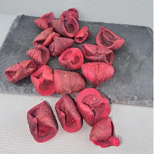 Új szÍn! lali - piros 5 dkg, Kellékek & szerszámok, Dekorációs kellékek, Termések, terméscsomagok, , MESKA