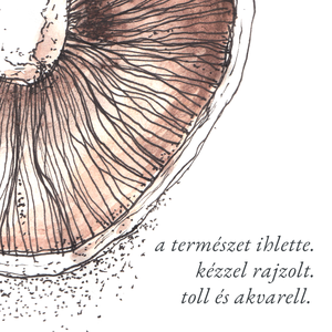 NYOMTATHATÓ Természet ihlette botanikai kép: Csiperke - művészet - grafika & illusztráció - digitális - Meska.hu