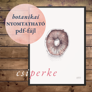 NYOMTATHATÓ Természet ihlette botanikai kép: Csiperke, Művészet, Grafika & Illusztráció, Digitális, Festészet, MESKA