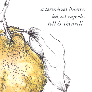 NYOMTATHATÓ Természet ihlette botanikai kép: Birskörte - művészet - grafika & illusztráció - digitális - Meska.hu