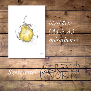 NYOMTATHATÓ Természet ihlette botanikai kép: Birskörte - művészet - grafika & illusztráció - digitális - Meska.hu