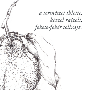 NYOMTATHATÓ Természet ihlette botanikai kép: Birskörte - művészet - grafika & illusztráció - digitális - Meska.hu