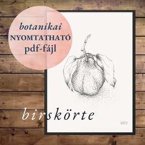 NYOMTATHATÓ Természet ihlette botanikai kép: Birskörte, Művészet, Grafika & Illusztráció, Digitális, Festészet, MESKA