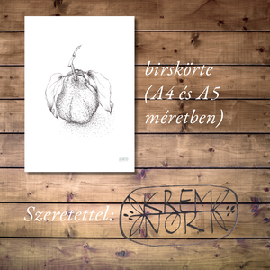 NYOMTATHATÓ Természet ihlette botanikai kép: Birskörte - művészet - grafika & illusztráció - digitális - Meska.hu