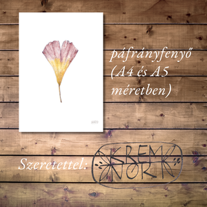 NYOMTATHATÓ Természet ihlette botanikai kép: Páfrányfenyő - művészet - grafika & illusztráció - digitális - Meska.hu