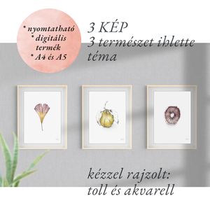 NYOMTATHATÓ 3 kép: Természet ihlette (Csiperke, Páfrányfenyő, Birskörte) - művészet - grafika & illusztráció - digitális - Meska.hu