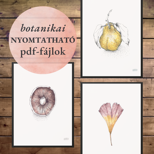 NYOMTATHATÓ 3 kép: Természet ihlette (Csiperke, Páfrányfenyő, Birskörte), Művészet, Grafika & Illusztráció, Digitális, Festészet, MESKA