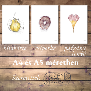 NYOMTATHATÓ 3 kép: Természet ihlette (Csiperke, Páfrányfenyő, Birskörte) - művészet - grafika & illusztráció - digitális - Meska.hu