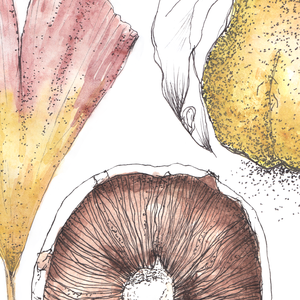 NYOMTATHATÓ 3 kép: Természet ihlette (Csiperke, Páfrányfenyő, Birskörte) - művészet - grafika & illusztráció - digitális - Meska.hu