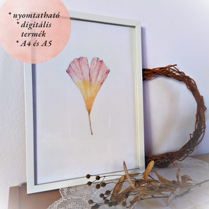 NYOMTATHATÓ Természet ihlette botanikai kép: Páfrányfenyő - művészet - grafika & illusztráció - digitális - Meska.hu