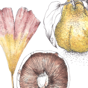 botanikai illusztrációk könyvjelzőkön LETÖLTHETŐ, NYOMTATHATÓ - művészet - grafika & illusztráció - digitális - Meska.hu