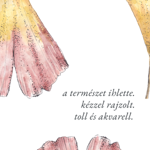 Páfrányfenyő-levelek (botanikai illusztráció) NYOMTATHATÓ  - művészet - grafika & illusztráció - digitális - Meska.hu