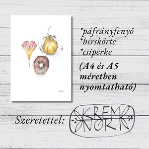 Csiperke, Páfrányfenyő, Birskörte - NYOMTATHATÓ botanikai illusztráció - művészet - grafika & illusztráció - digitális - Meska.hu