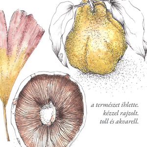 Csiperke, Páfrányfenyő, Birskörte - NYOMTATHATÓ botanikai illusztráció - művészet - grafika & illusztráció - digitális - Meska.hu