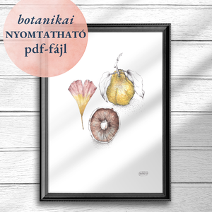 Csiperke, Páfrányfenyő, Birskörte - NYOMTATHATÓ botanikai illusztráció, Művészet, Grafika & Illusztráció, Digitális, Festészet, MESKA