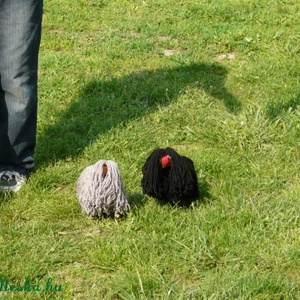 AKCIÓ!! Szürke puli (marionett) 1500ft helyett-1000ft -  - Meska.hu