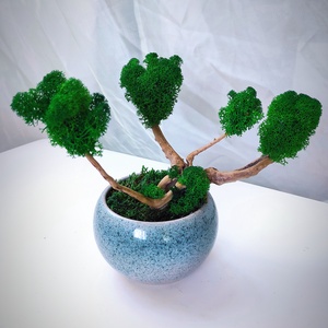 Tartósított bonsai fa izlandi zuzmóval és stabilizált mohával, Otthon & Életmód, Dekoráció, Asztal és polc dekoráció, Zuzmódekoráció, Mohadekoráció, Mindenmás, MESKA