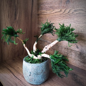 Bonsai fa tartósított mohákkal - otthon & életmód - dekoráció - asztal és polc dekoráció - bonsai - Meska.hu