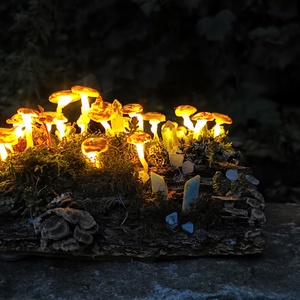 Gombalámpás Nagy - otthon & életmód - lámpa - hangulatlámpa - Meska.hu