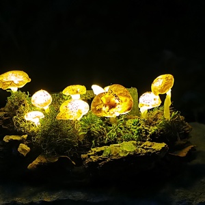 Gombalámpás Kristályokkal Kicsi - Meska.hu