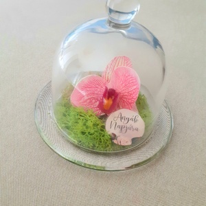 Örökvirág orchidea üvegbúra alatt, zuzmóval, anyák napjára - otthon & életmód - dekoráció - Meska.hu