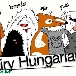Fehér kutyás póló pasikak - hairy hungarians - ruha & divat - férfi ruha - póló - Meska.hu