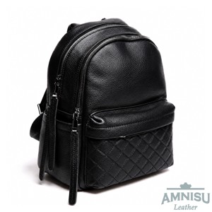 AmnisuLeather