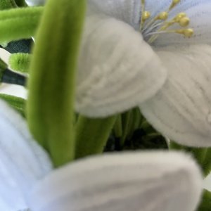 Prémium liliom virágkompozíció cserépben � elegáns lakásdekor / ajándék különleges alkalmakra, Otthon & Életmód, Virágdekoráció, Virágdíszek, Virágdísz kaspóban, Virágkötés, MESKA