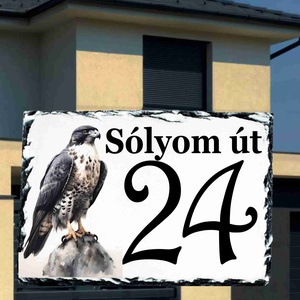 Egyedi festett házszámtábla sólyom mintával - Meska.hu