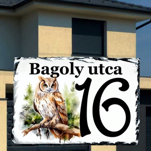Egyedi festett házszámtábla bagoly mintával - Meska.hu