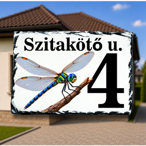 Házszámtábla egyedi tervezésű szitakötő festett képpel - Meska.hu