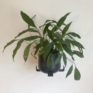 Fali virágtartó - otthon & életmód - dekoráció - virágdísz és tartó - virágtartó - Meska.hu