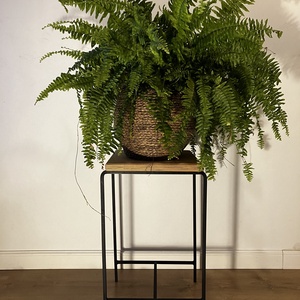 Virágállvány, Otthon & Életmód, Dekoráció, Virágdísz és tartó, Virágállvány, Fémmegmunkálás, Famegmunkálás, MESKA