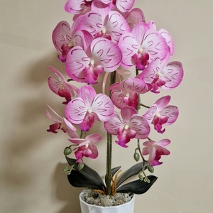 Örök Orchidea , Otthon & Lakás, Dekoráció, Virágdísz és tartó, Csokor & Virágdísz, Virágkötés, 55-60cm magas.Szilikonos anyagú,  igazinak tűnő orchidea .
Bármilyen táblával kérhető.
A kaspó kész..., MESKA