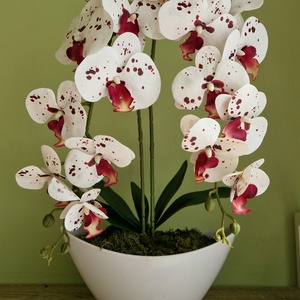 Örök Orchidea , Otthon & Életmód, Dekoráció, Virágdísz és tartó, Csokor & Virágdísz, Virágkötés, MESKA