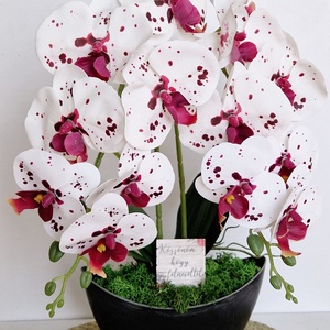 Örök Orchidea , Otthon & Életmód, Dekoráció, Virágdísz és tartó, Csokor & Virágdísz, Virágkötés, MESKA