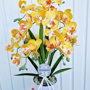 Örök Orchidea , Otthon & Életmód, Dekoráció, Virágdísz és tartó, Csokor & Virágdísz, Virágkötés, MESKA