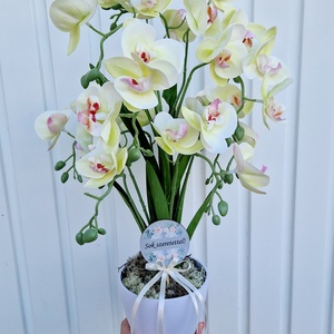 Sok virágos örök orchidea , Otthon & Életmód, Dekoráció, Virágdísz és tartó, Csokor & Virágdísz, Virágkötés, MESKA