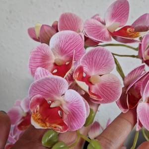 Sok virágos örök orchidea  - otthon & életmód - dekoráció - virágdísz és tartó - csokor & virágdísz - Meska.hu