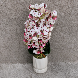 Sok virágos örök orchidea , Otthon & Életmód, Virágdekoráció, Virágdíszek, Asztali virágdísz, Virágkötés, MESKA