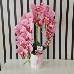 Örök Orchidea , Otthon & Életmód, Virágdekoráció, Virágdíszek, Virágdísz kaspóban, Virágkötés, MESKA