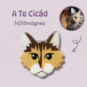 A Te Cicád - egyedi hűtőmágnes, Otthon & Életmód, Konyhafelszerelés, tálalás, Konyhai dekoráció, Hűtőmágnes, Gyurma, Festett tárgyak, MESKA