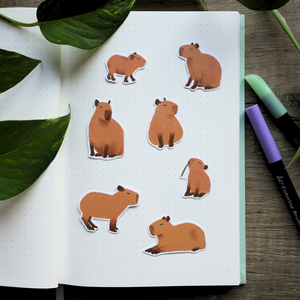 Kapibara matrica csomag - Meska.hu