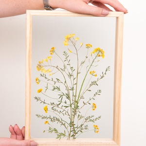 Sárga mezei virágok natúr fa keretben 21 x 38 x 4.4 cm - otthon & életmód - dekoráció - kép & falikép - képkeret - Meska.hu